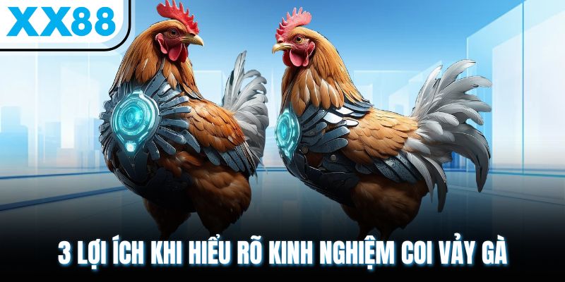 Kinh Nghiệm Coi Vảy Gà - Bí Quyết Chọn Lựa Siêu Hấp Dẫn 1 3 lợi ích khi hiểu rõ kinh nghiệm coi vảy gà