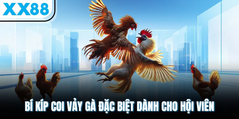 Kinh Nghiệm Coi Vảy Gà - Bí Quyết Chọn Lựa Siêu Hấp Dẫn 3 Bí kíp coi vảy gà đặc biệt dành cho hội viên