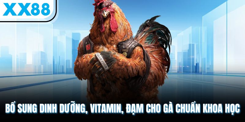 Bổ sung dinh dưỡng, vitamin, đạm cho gà chuẩn khoa học