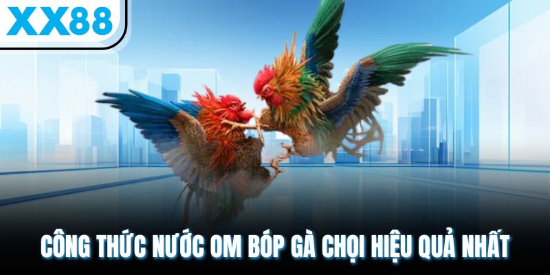 Om Bóp Gà Chọi - Bài Thuốc 10 Vị Giúp Chiến Kê Sung Mãn 2 Công thức nước om bóp gà chọi hiệu quả nhất