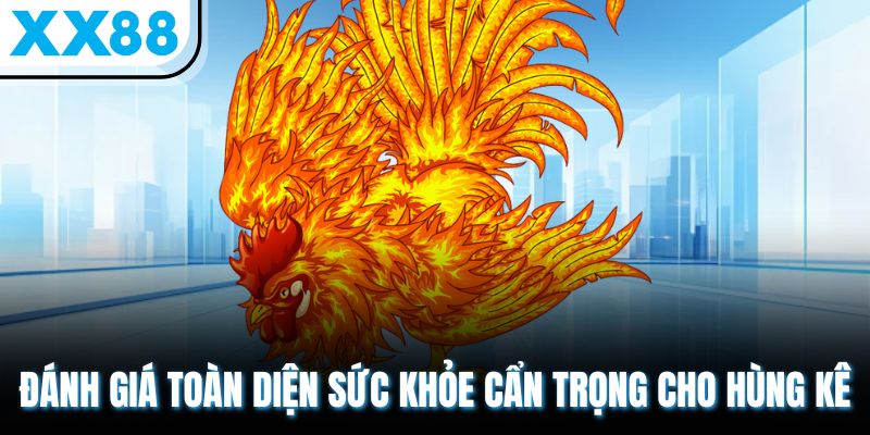 Đánh giá toàn diện sức khỏe cẩn trọng cho hùng kê