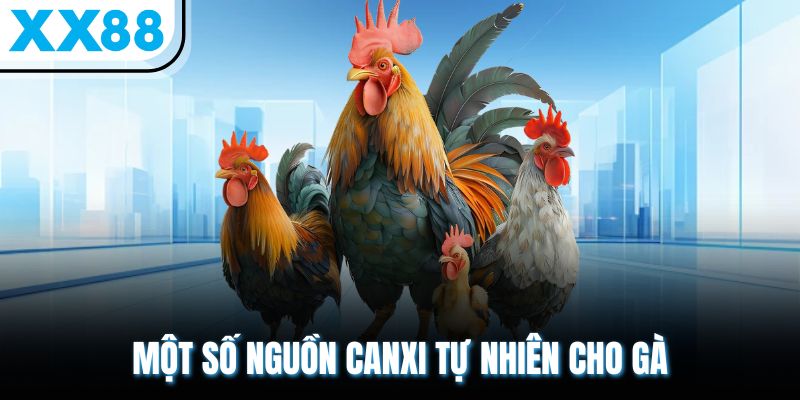 Canxi Tự Nhiên Cho Gà & TOP 5+ Nguồn Bổ Sung Tốt Nhất 2025 2 Một số nguồn canxi tự nhiên cho gà