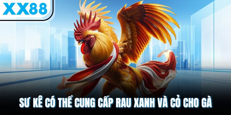 Canxi Tự Nhiên Cho Gà & TOP 5+ Nguồn Bổ Sung Tốt Nhất 2025 3 Sư kê có thể cung cấp rau xanh và cỏ cho gà