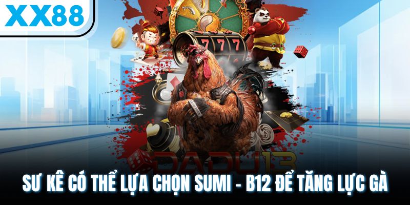 Thuốc Nuôi Gà Đá Giúp Chiến Kê Tăng Bo, Sung Mãn Như Ý 3 Sư kê có thể lựa chọn Sumi - B12 để tăng lực gà