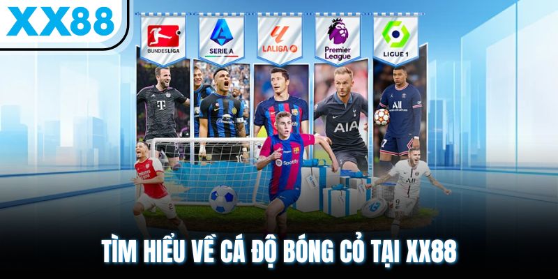 Cá Độ Bóng Cỏ - Chiêm Ngưỡng 500+ Kèo Cược Live Hot Mỗi Ngày 1 Tìm hiểu về cá độ bóng cỏ tại XX88