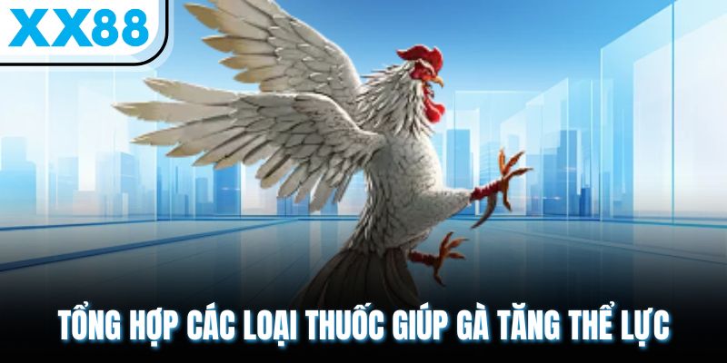 Thuốc Nuôi Gà Đá Giúp Chiến Kê Tăng Bo, Sung Mãn Như Ý 2 Tổng hợp các loại thuốc giúp gà tăng thể lực