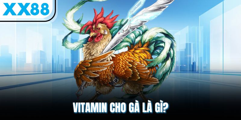 3 Loại Vitamin Cho Gà Hiệu Quả Được Chuyên Gia Khuyên Dùng 1 Vitamin cho gà là gì?